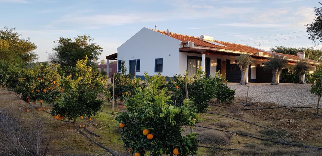 Trendy And Luxe B&B And Garden Suite Ferreira Do Alentejo Exterior photo